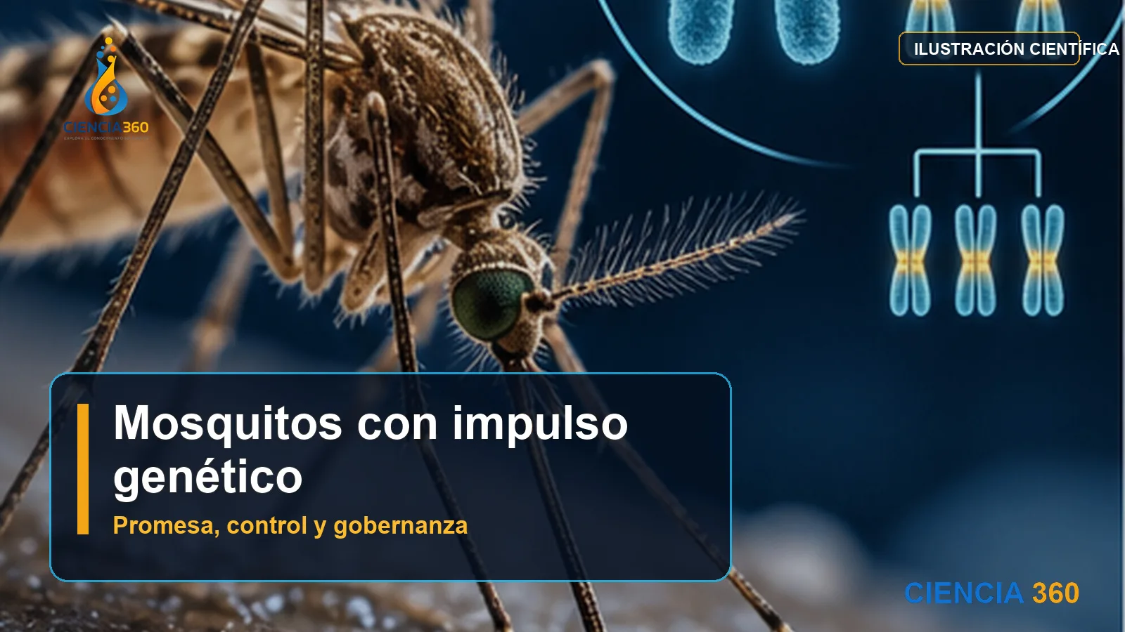 Mosquitos con impulso genético: promesa, control y decisiones colectivas